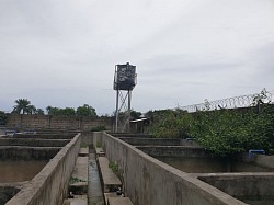 50,000 capacity fish farm on a 2¼ plot beside Catoky International School, Omagwa. Fully developed with 5-room staff house. Asking price *#25m*